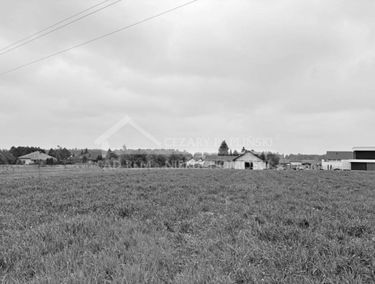 Zdjęcie 15914924