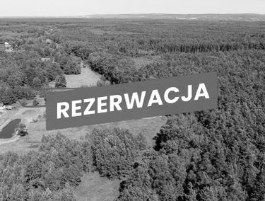 Zdjęcie 15915091