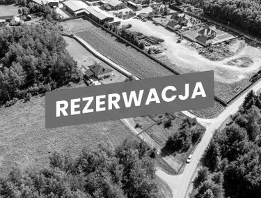 Zdjęcie 15915094