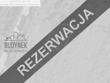 Zdjęcie 15915524