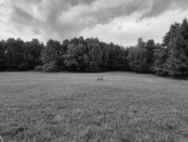 Zdjęcie 15916048