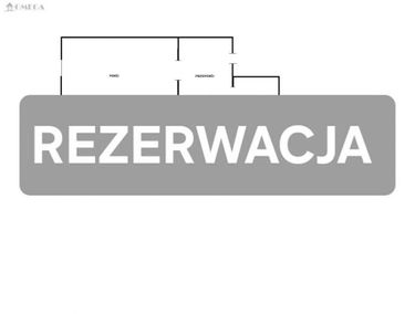 Zdjęcie 15916099