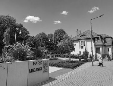 Zdjęcie 15916119