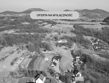 Zdjęcie 15917791