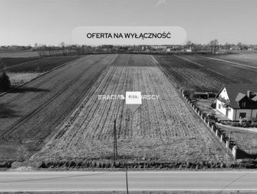 Zdjęcie 15917886