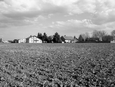 Zdjęcie 15918069