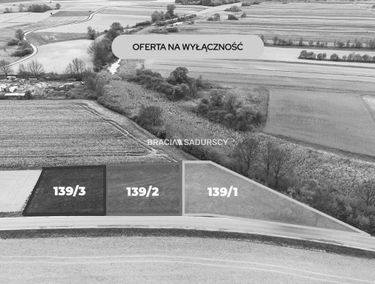 Zdjęcie 15918684