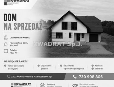 Zdjęcie 15919061