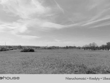 Zdjęcie 15919404