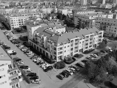 Zdjęcie 15919834