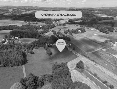 Zdjęcie 15920566