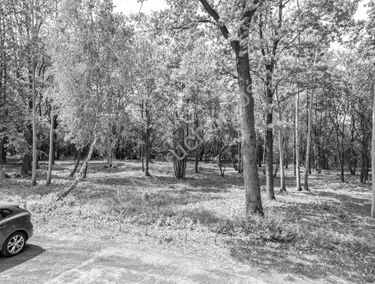 Zdjęcie 15920586