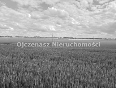 Zdjęcie 15921638