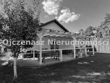 Zdjęcie 15921759