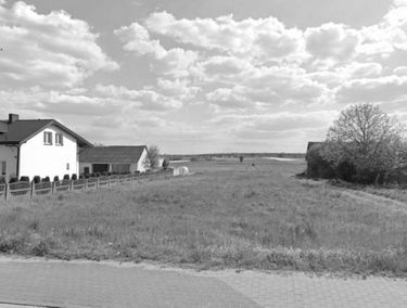 Zdjęcie 15921794