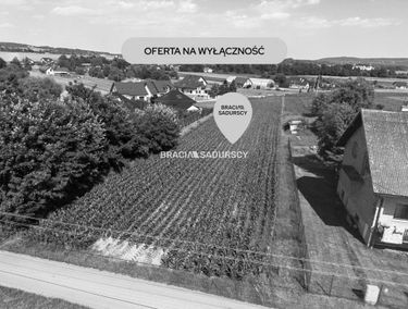 Zdjęcie 15922572