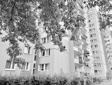 Zdjęcie 15926482