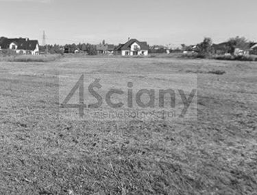 Zdjęcie 15929379