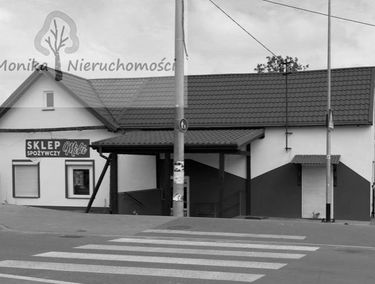 Zdjęcie 15929905
