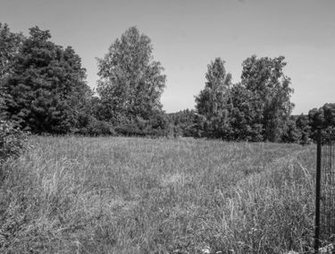 Zdjęcie 15931648