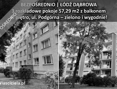 Zdjęcie 15934844