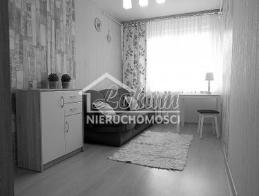 Zdjęcie 15935412
