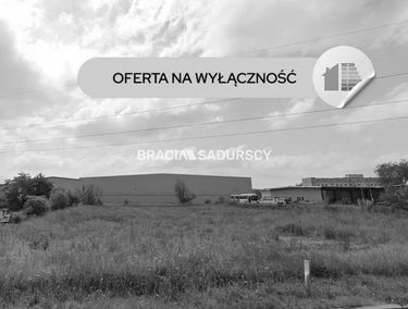 Zdjęcie 15935819
