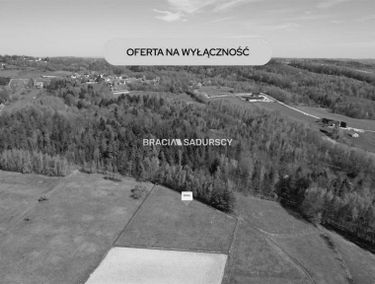 Zdjęcie 15935880