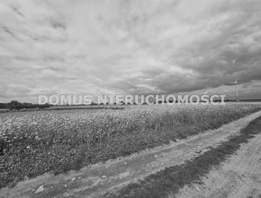 Zdjęcie 15937732