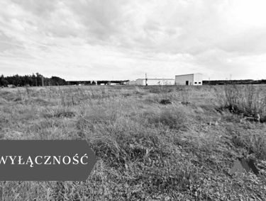 Zdjęcie 15938201