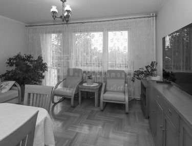 Zdjęcie 15938239