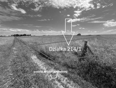 Zdjęcie 15939280