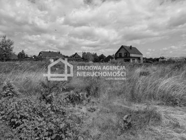 Zdjęcie 15939299