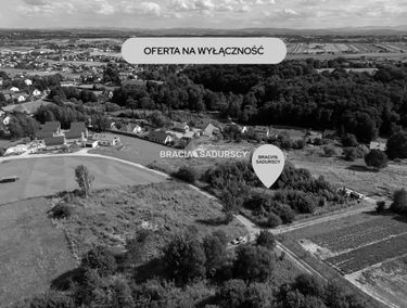 Zdjęcie 15939481