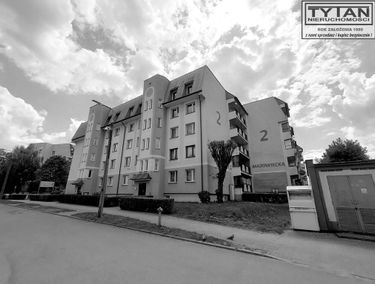 Zdjęcie 15941484