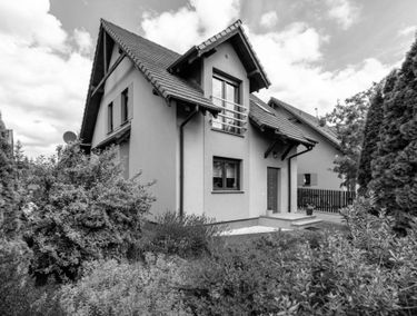 Zdjęcie 15942112