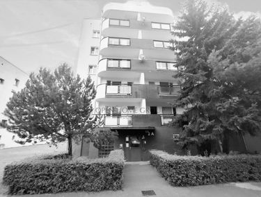 Zdjęcie 15942376