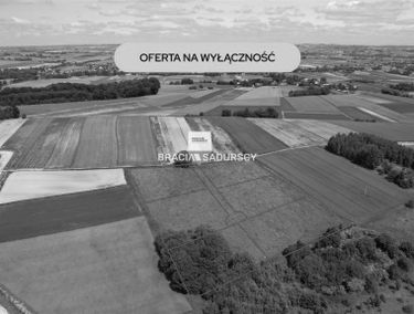 Zdjęcie 15943342