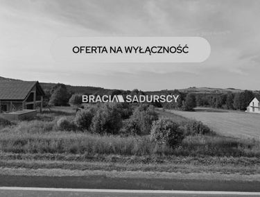 Zdjęcie 15943389