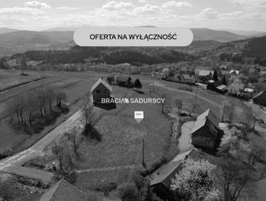 Zdjęcie 15943412