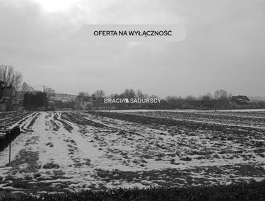 Zdjęcie 15943469