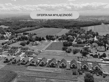 Zdjęcie 15943544
