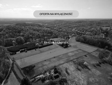 Zdjęcie 15945362