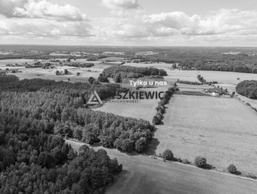 Zdjęcie 15945619