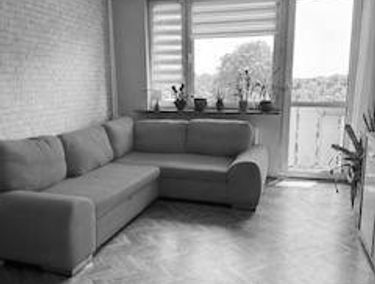 Zdjęcie 15946025