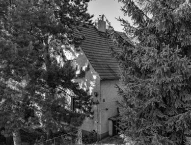 Zdjęcie 15946975