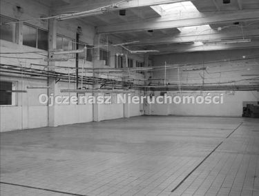 Zdjęcie 15947285