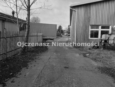 Zdjęcie 15947292