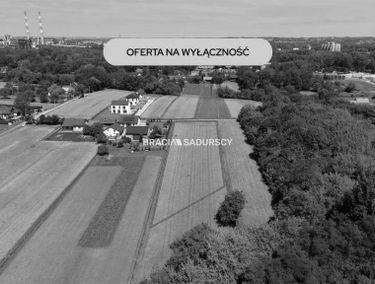 Zdjęcie 15947520