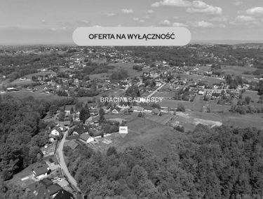 Zdjęcie 15947584